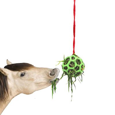 Hay Feeder Ball Toy