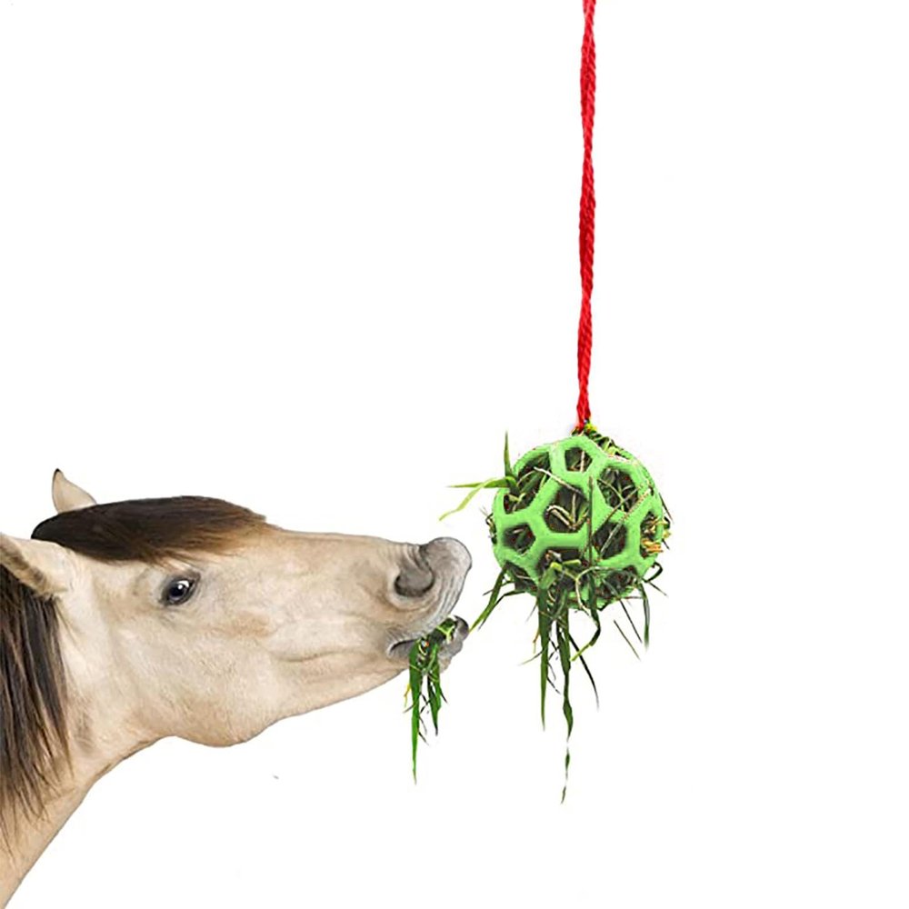 Hay Feeder Ball Toy