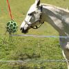 Hay Feeder Ball Toy view 3