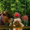 Hay Feeder Ball Toy view 4
