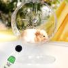 Small Silent Transparent Hamster Exercise Wheel view 2