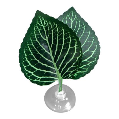 Betta Fish Hammock Leaf Pill