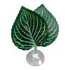 Betta Fish Hammock Leaf Pill view 1