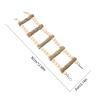 Birdcage Ladder Bridge Swing for Pets view 4