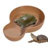 Turtle Water Bowl, Anti-Slip Turtle Bath Pool view 1