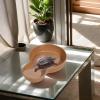 Turtle Water Bowl, Anti-Slip Turtle Bath Pool view 2
