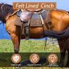 Eccliy Elastic Western Cinch for Horses, 32 in, with Buckle view 4