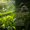 L-Theanine Amino Acid 400 mg, 150 Vegan Capsules, High-Dose view 3