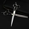 6-Inch JP 440C Steel Hair Cutting and Thinning Scissors view 1