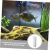 BESPORTBLE Shrimp Tank Protector Intake Guard for Aquariums view 3