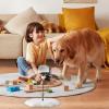 Interactive Treat-Dispensing Spinner Toy for Indoor Cats view 4