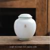 Pet Cremation Urn for Dog, Cat, or Bird Ashes view 2