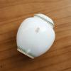 Pet Cremation Urn for Dog, Cat, or Bird Ashes view 3