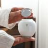 Pet Cremation Urn for Dog, Cat, or Bird Ashes view 4