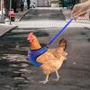 Adjustable Chicken Harness Vest view 2