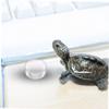 Supvox 10 Pack Acrylic Reptile Feeding Bowls view 3