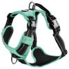 Bobby Rando Walk Dog Harness, XS, Reflective Nylon, Adjustable Buckles, Blue, Neck 20–32 cm, Chest 36–43 cm view 1