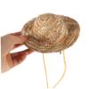 Veemoon Straw Hat for Dogs view 3