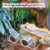 Gecko Feeder and Reptile Water Bowl with Magnetic Feeding Ledge view 3