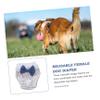 BESPORTBLE Reusable Dog Diaper view 3