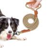 Reflective Slip Lead Dog Leash view 1