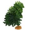 GRIRIW Artificial Terrarium Decor Plants for Reptiles and Fish, Green Resin and Plastic view 1