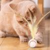Bouncy Ball for Cats, Boredom Relief, Interactive Toy view 2