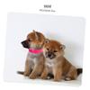 Sosoport 100-Piece Adjustable Puppy Identification Collar Set view 3