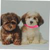 Sosoport 100-Piece Adjustable Puppy Identification Collar Set view 4