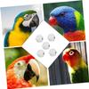 BESPORTBLE 5-Piece Bird Feeding and Water Bowls view 3