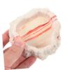 BESPORTBLE Pet Feeding Bowl for Reptiles view 2
