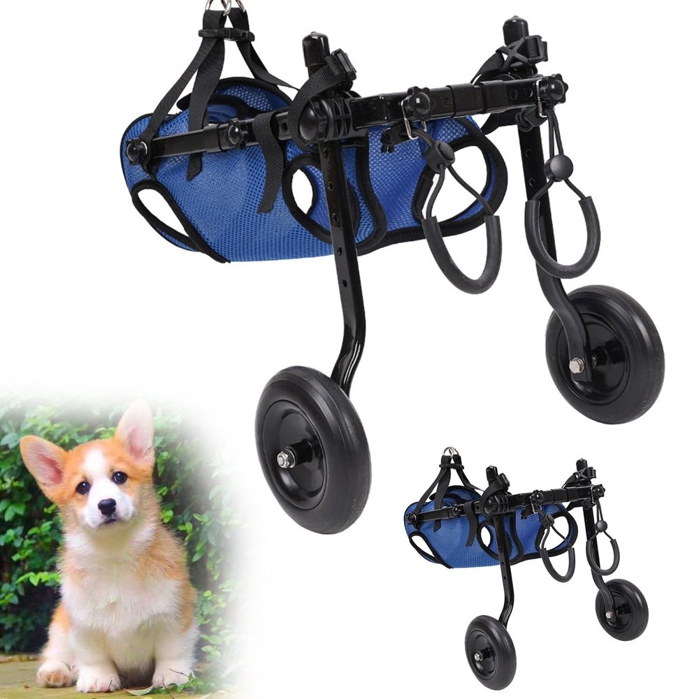 Adjustable Wheelchair for Dogs and Cats, Pet Mobility Aid for Rear-Leg Rehabilitation