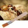Wood Cleaning Brush for Pet Feeders view 2