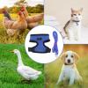 Chicken Harness with Adjustable Belt view 4