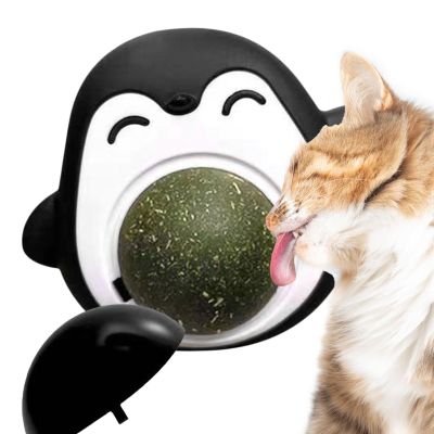 Catnip Balls for Indoor Cats