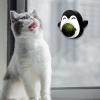 Catnip Balls for Indoor Cats view 3