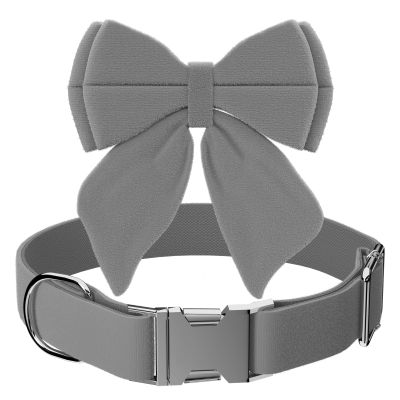 Asvin Velvet Dog Collar