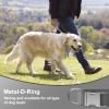 Asvin Velvet Dog Collar view 4