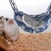 BESPORTBLE Creative Habitat for Small Pets view 2