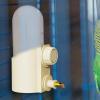 Automatic Bird Water Dispenser, 250 mL Large-Capacity Refillable Feeder for Lovebirds, Canaries, and Finches view 3