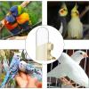 Automatic Bird Water Dispenser, 250 mL Large-Capacity Refillable Feeder for Lovebirds, Canaries, and Finches view 4