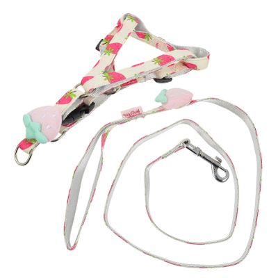 Levemolo Dog Tug Rope with Fruit Print, Durable Material for Outdoor Use, Easy to Handle