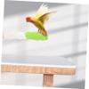 CORHAD Bird Cage Perch view 4