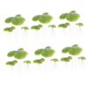 BESPORTBLE Artificial Water Lettuce Decorations for Aquariums - 18 Pieces view 1