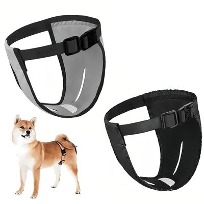 2-Pack Dog Diapers for Females
