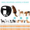 2-Pack Dog Diapers for Females view 4