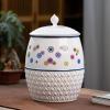 WJFTODAY Ceramic Food Storage Jar view 1