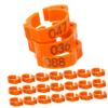 BUGUUYO Chicken Identification Leg Bands, 100 Pieces, Decorative Poultry Bands Made of Safe Plastic view 1