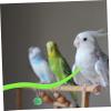 BESPORTBLE Parrot Perch for Budgerigars and Parrots view 3