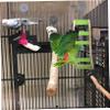 GRIRIW Parrot Wooden Ladder view 2